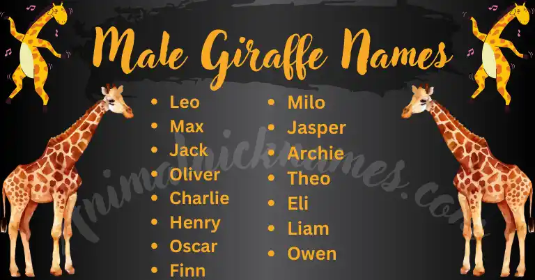 Male Giraffe Names