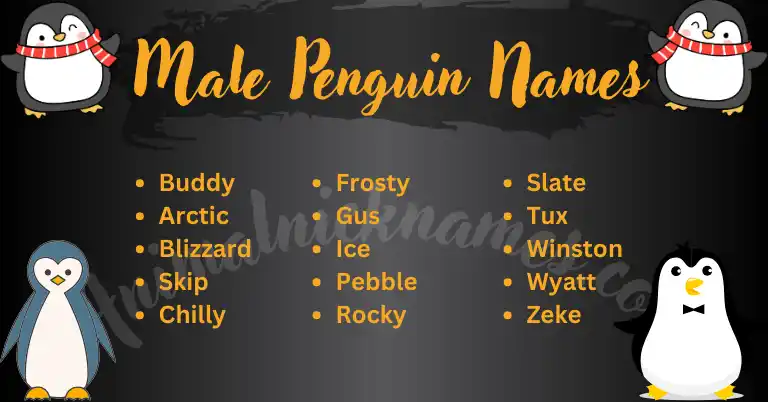 Male Penguin Names