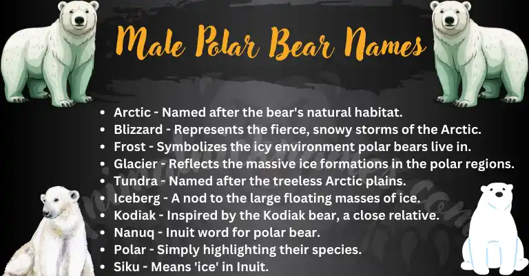 Male Polar Bear Names