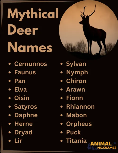 350+ Deer Names: Unique & Creative Ideas for Every Fawn