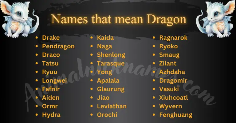 Names That Mean Dragon