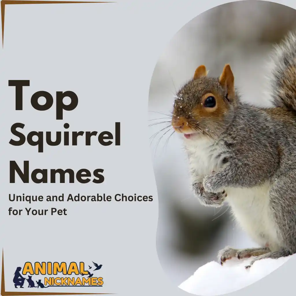 450+ Funny, Cool, and Creative Squirrel Names [Best Ideas]