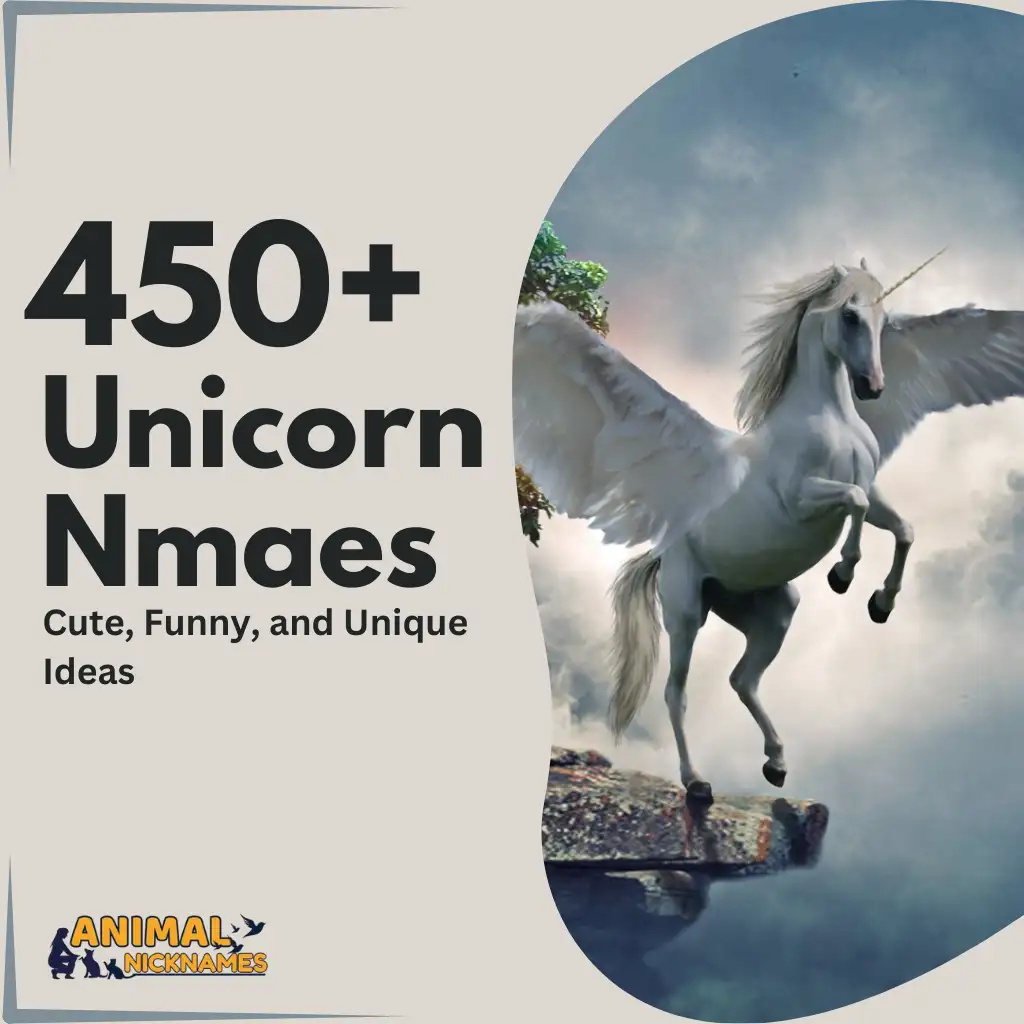 Unicorn Names