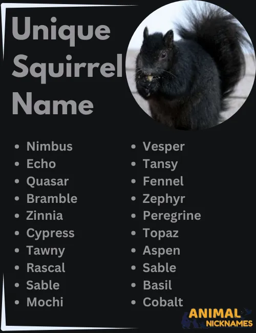 Unique Squirrel Names