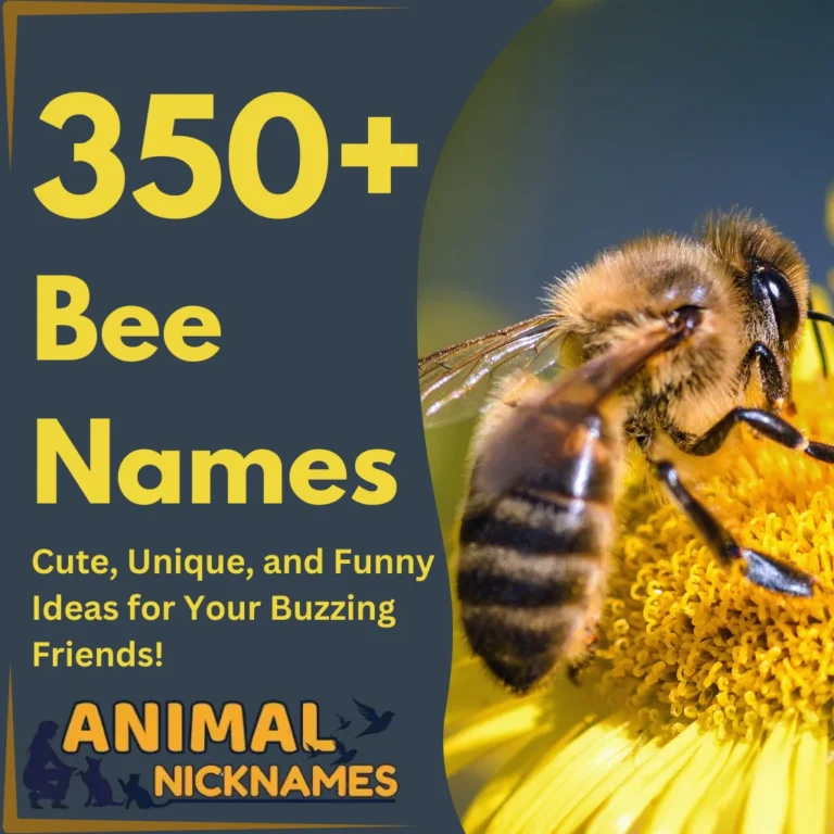 350+ Creative Bee Names Cute, Unique, and Funny Ideas for Your Buzzing Friends