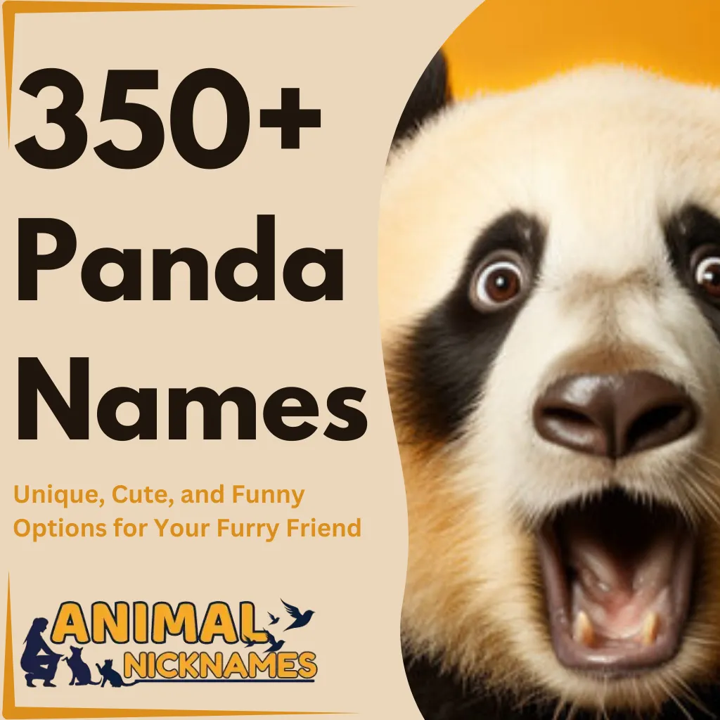 350+ Panda Names