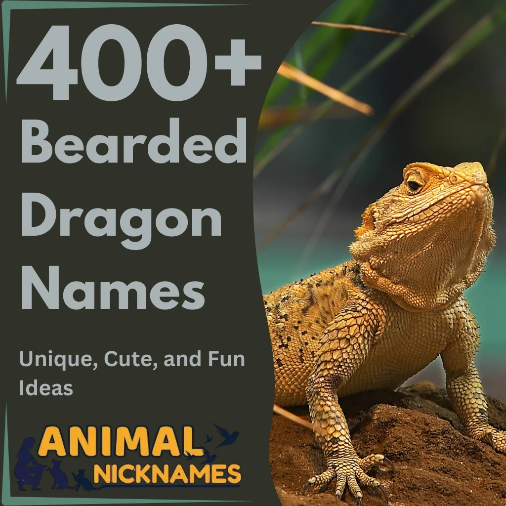 400+ Best Bearded Dragon Names Unique, Cute, and Fun Ideas