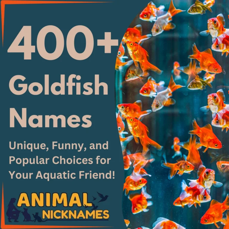 400+ Best Goldfish Names Unique, Funny, and Popular Choices for Your Aquatic Friend