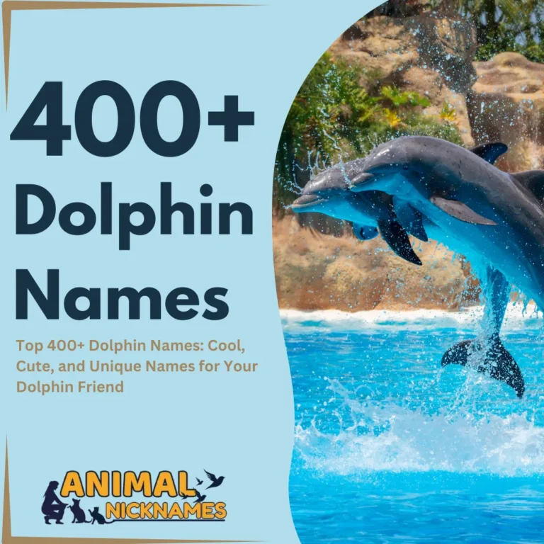 400+ Dolphin Names