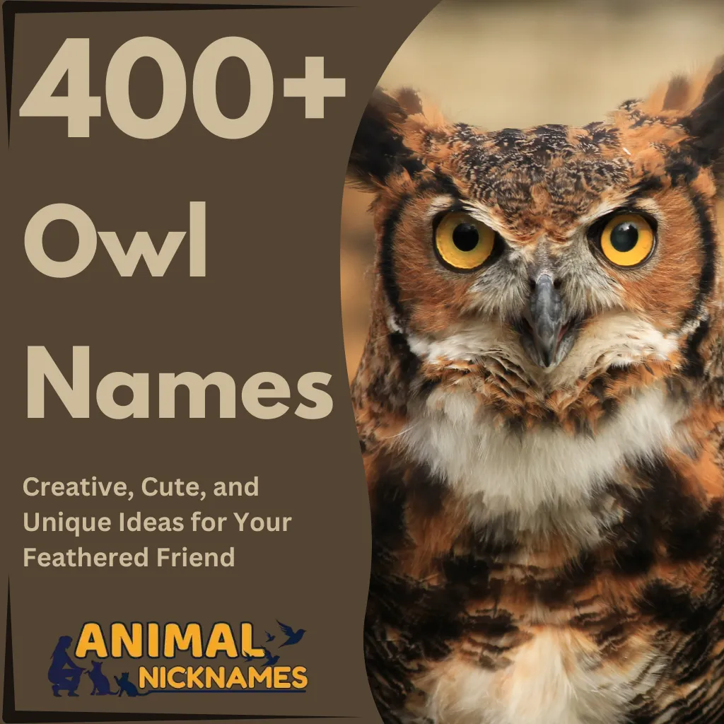 400+ Owl Names