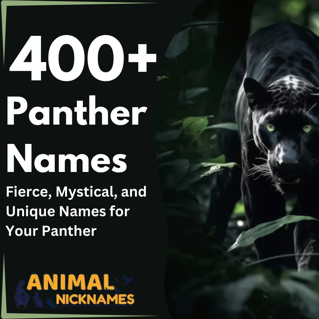 400+ Panther Names Fierce, Mystical, and Unique Names for Your Panther