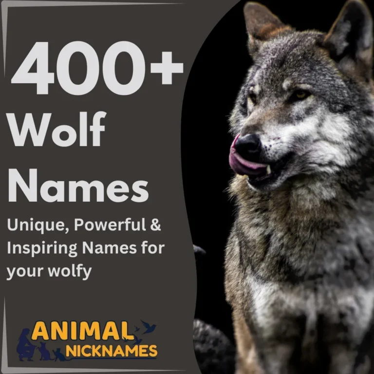 400+ Wolf Names Unique, Powerful & Inspiring Names