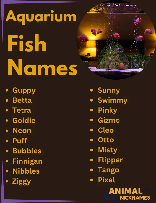 Aquarium Fish Names