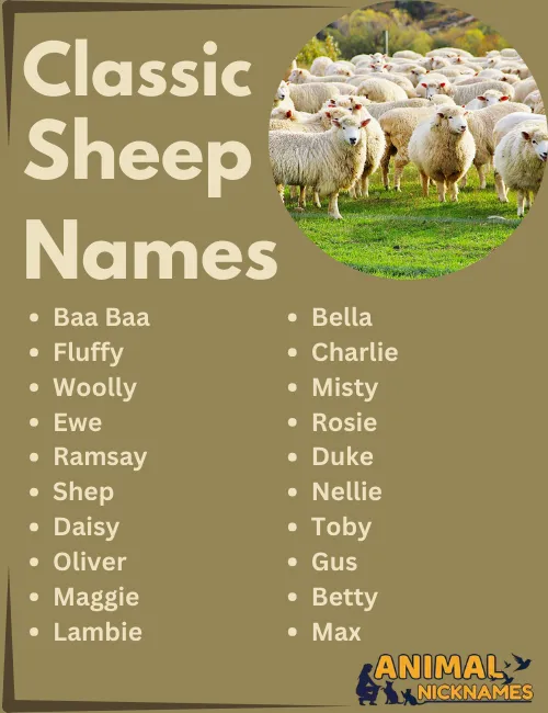 Classic Sheep Names