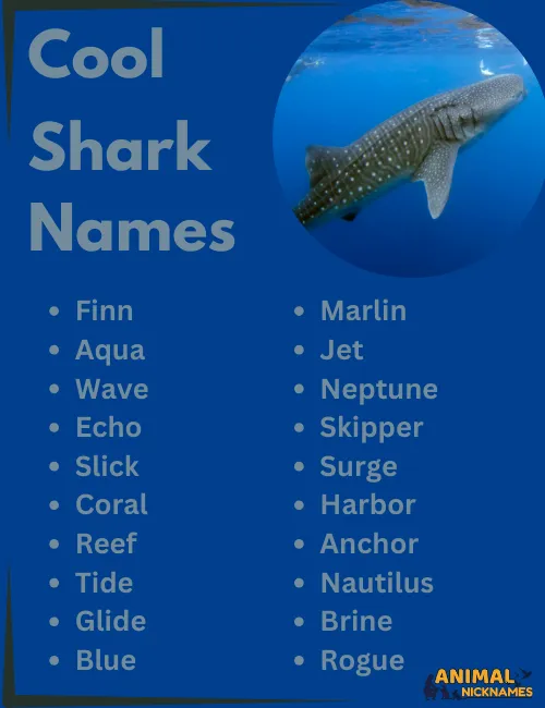 Cool Shark Names