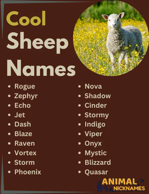 Cool Sheep Names