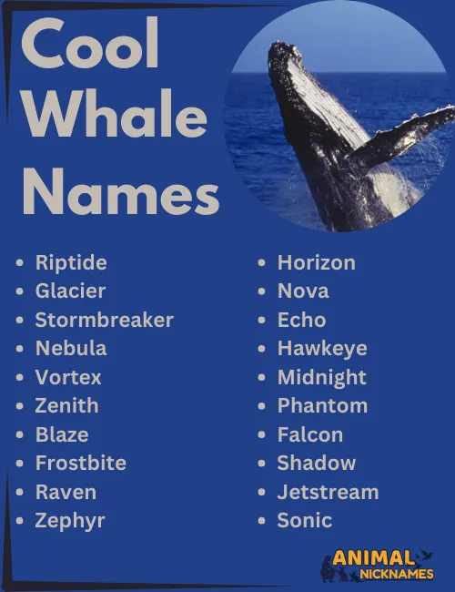 Cool Whale Names