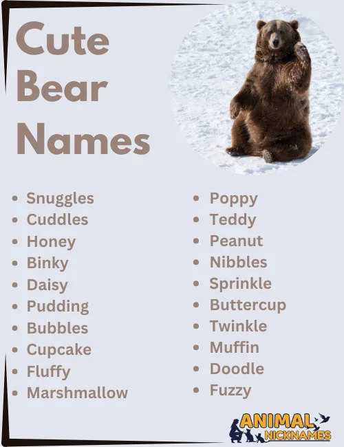 Cute Bear Names