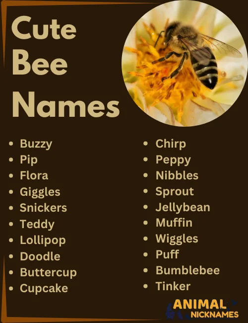 Cute Bee Names