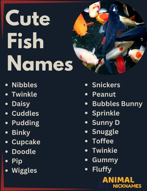 Cute Fish Names