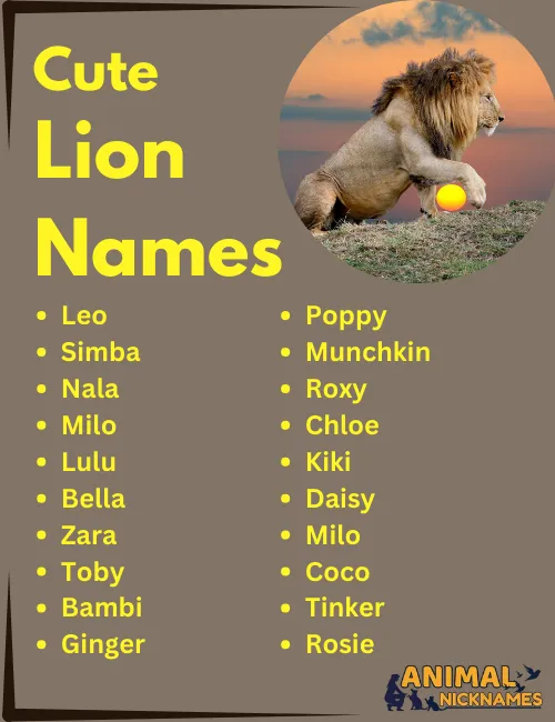 Cute Lion Names