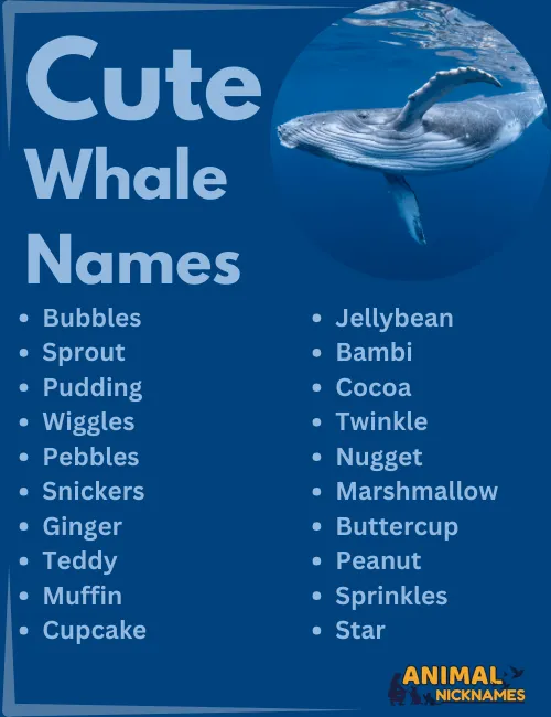 Cute Whale Names