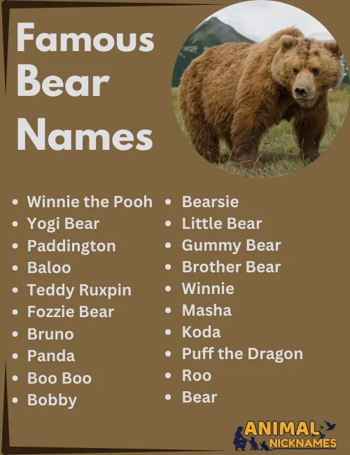 450+ Best Bear Names: From Cute and Unique to Funny