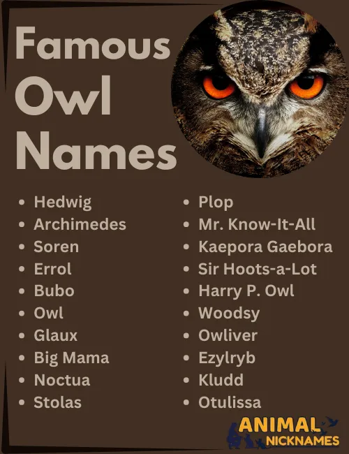 Famous Owl Names