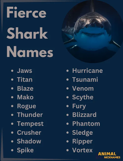 Famous SHark Names