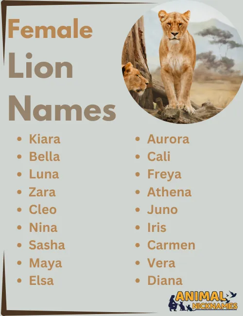 Female Lion Names