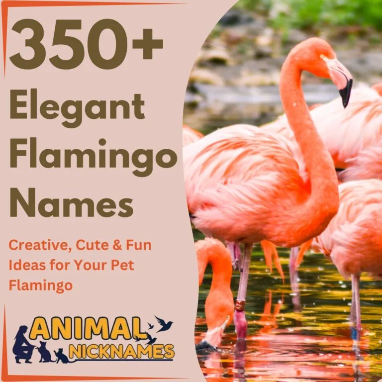 350+ Elegant Flamingo Names: Creative, Cute & Fun Ideas for Your Pet Flamingo