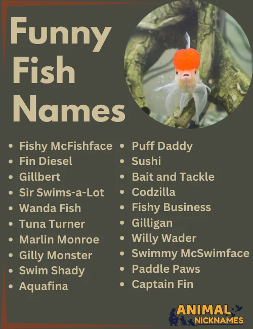 Funny Fish Names