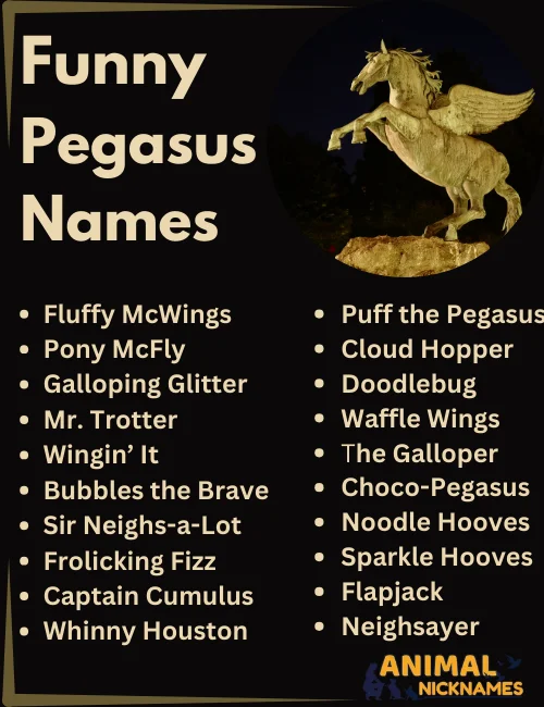 Funny Pegasus Names