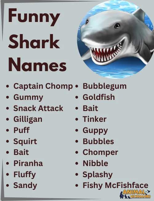 Funny shark names