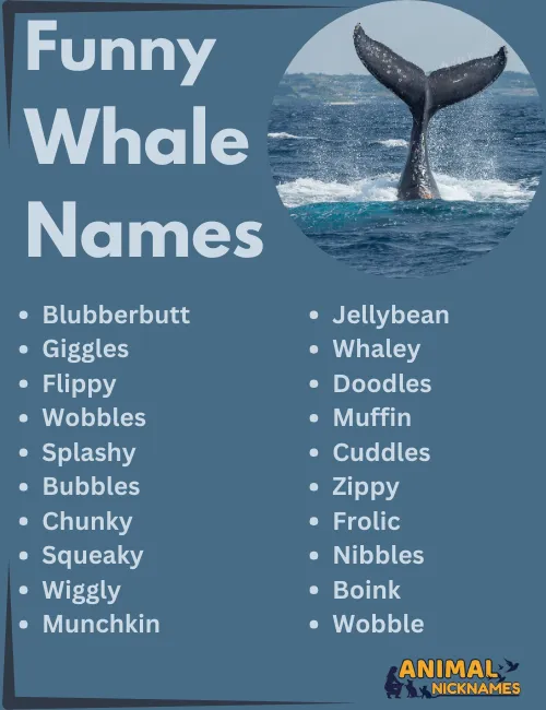 Funny Whale Names