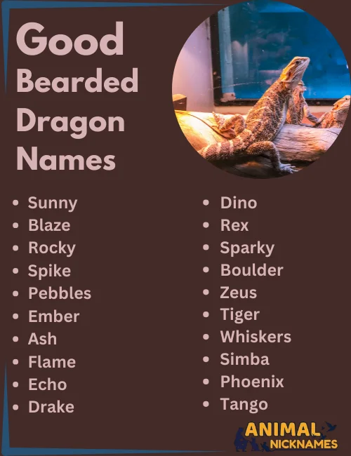 Good Bearded Dragon Names