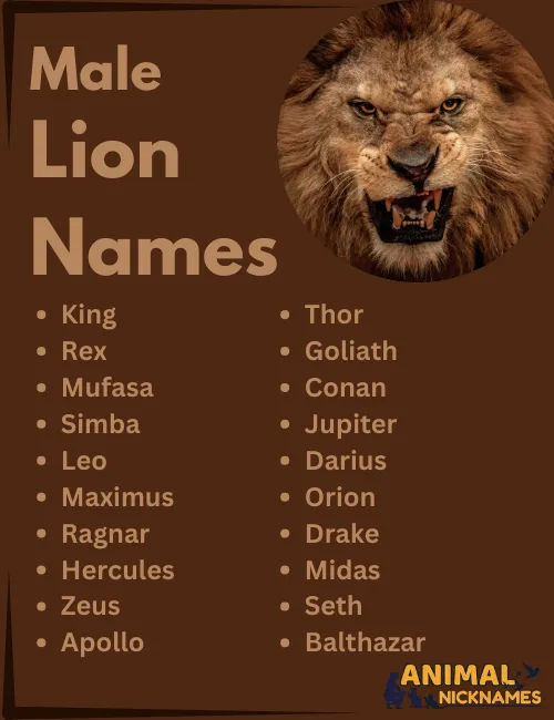 Male Lion Names