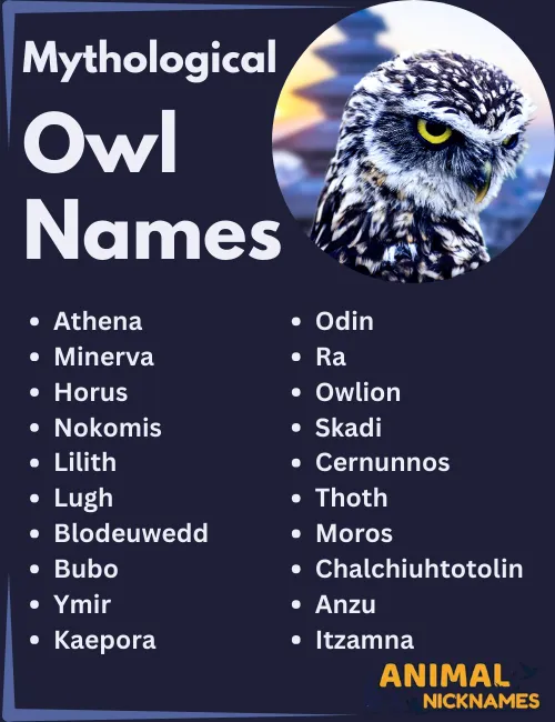 Mythological Owl Names