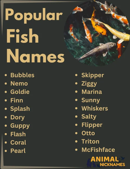 Popular Fish Names