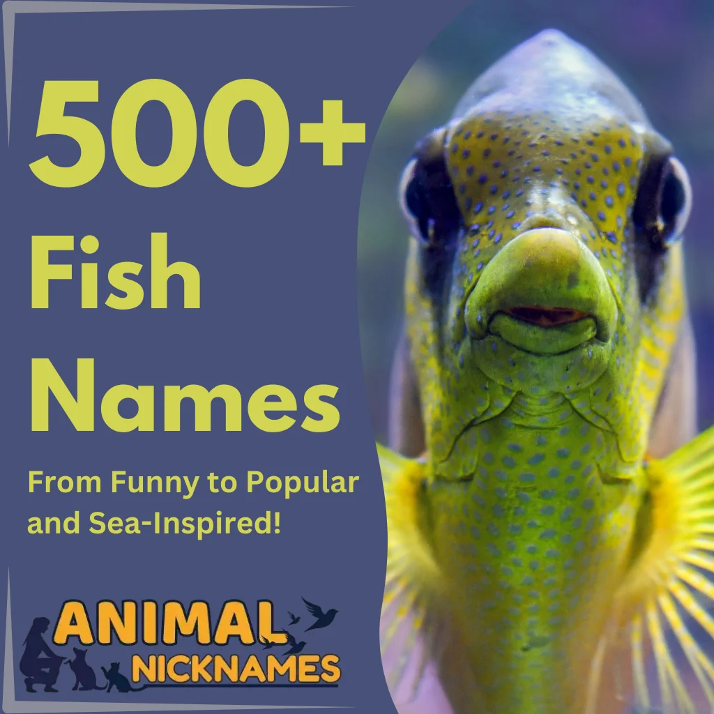 Best 500+ Cute & Unique Fish Names for Your Slippery Friend