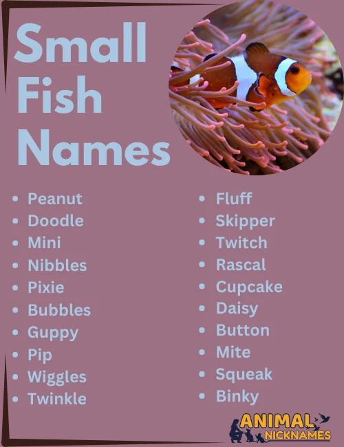 Small Fish Names