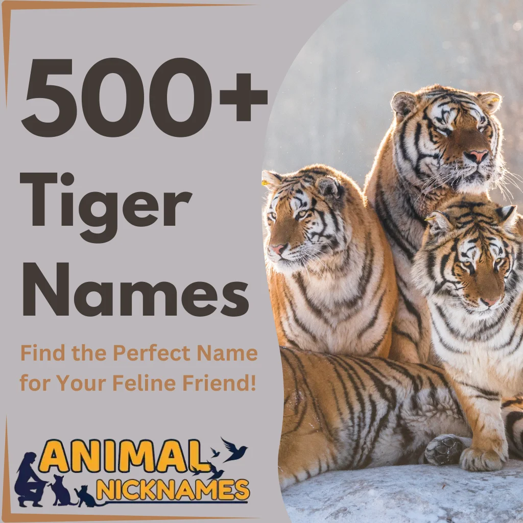 Tiger Names