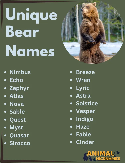 Unique Bear Names