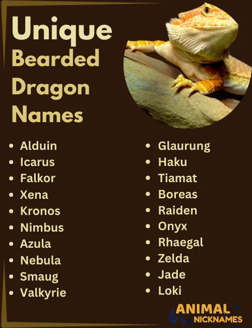 Unique Bearded Dragon Names