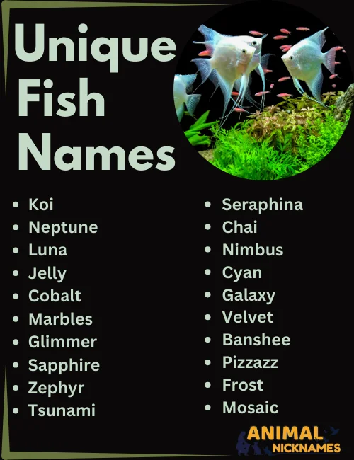 Unique Fish Names