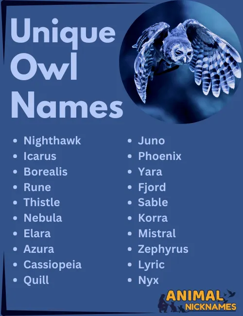 Unique Owl Names