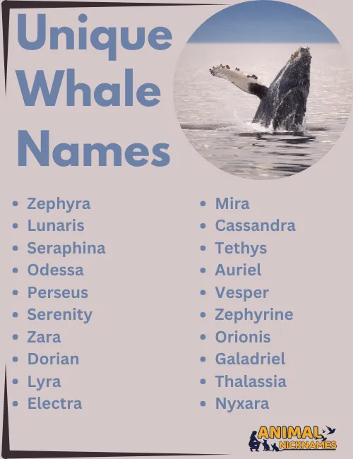 Unique Whale Names