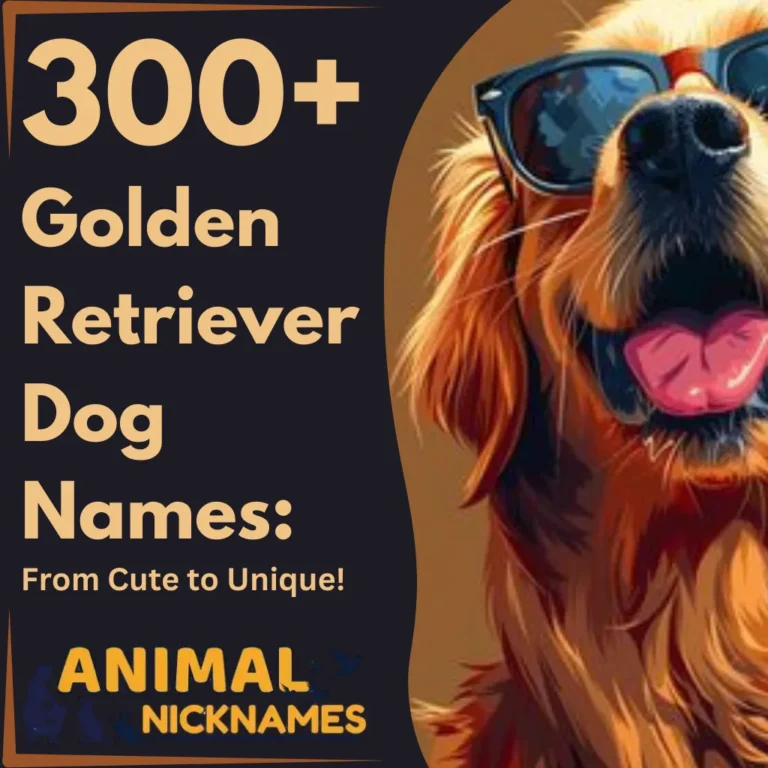 300+ Adorable Golden Retriever Dog Names From Cute to Unique!