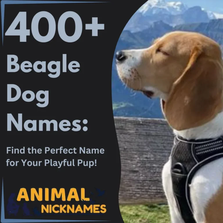 400+ Beagle Dog Names Find the Perfect Name for Your Playful Pup!