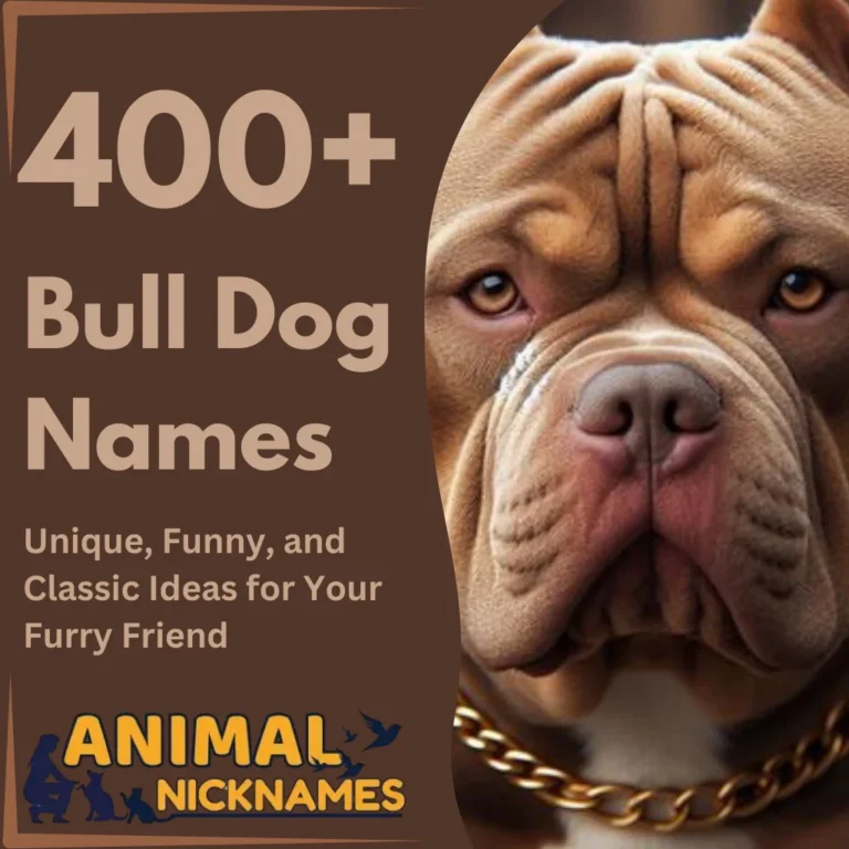 400+ Bulldog Names Unique, Funny, and Classic Ideas for Your Furry Friend